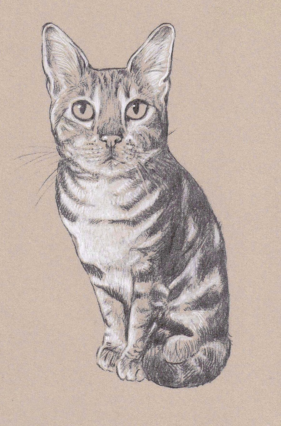 Pet Portrait Print - Highlighted, Bespoke Illustration.
