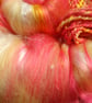 50g Rhubarb & Custard Art Batt for Spinning - Image 3