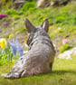Foundry Bronze Sitting Corgi Statue Large Bronze Garden Sculpture - Image 5