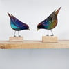 Made to Order Darling Starling 