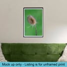 Teasel head macro print
