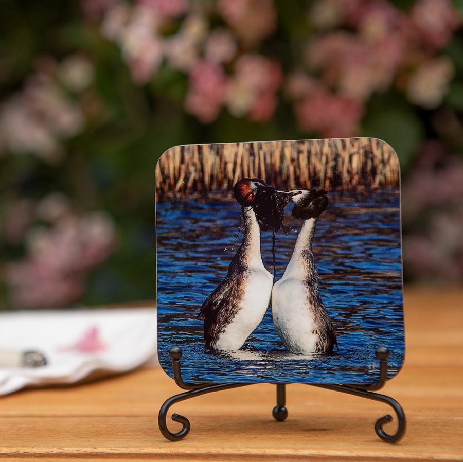 Great Crested Grebes Wooden Coaster - Original Animal Photo Gifts - Wildlife Sce