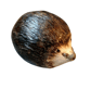 Ceramic Hedgehog sculpture - Image 5