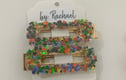 Hair Clips