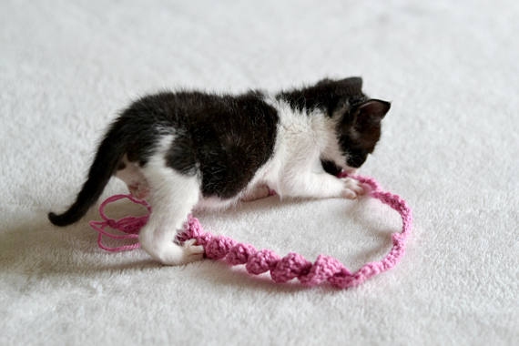 1 Kittens Cat Twist Toy - Choose your colour