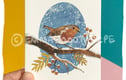 Christmas Cards