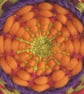 Weaving kit - medium circle loom - Image 4