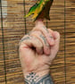 Dragon finger Puppet - Green and Yellow - Image 4