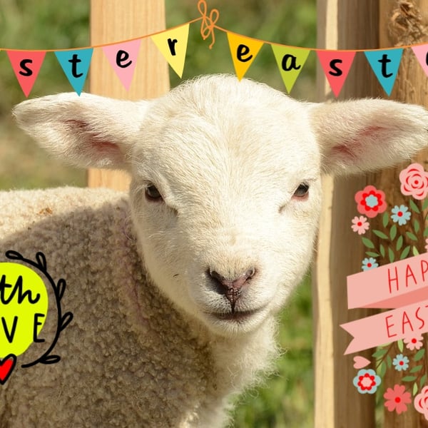 Lamb Spring Greeting Card A5 Size 