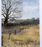 Winter Oak. Handpainted Blank Card. Watercolour 260184 - Image 4
