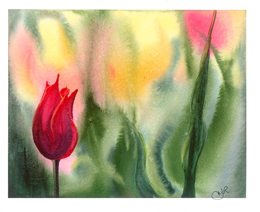Red tulip, A3 giclée print