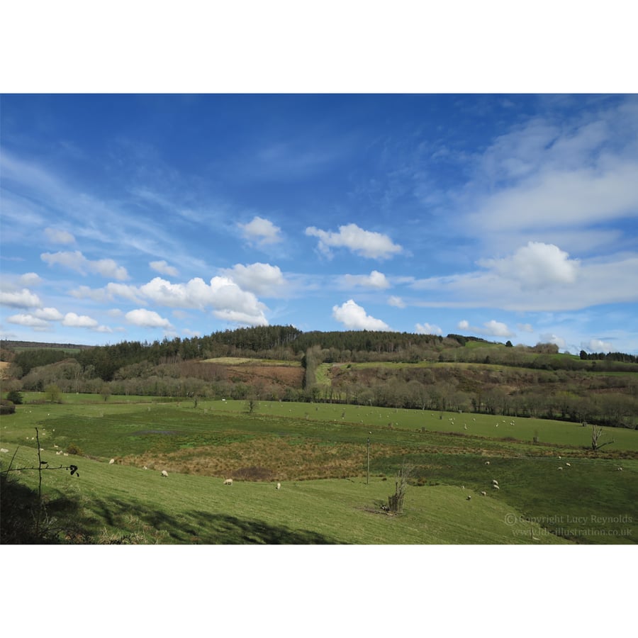 Lostwithiel Countryside Print