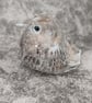 Baby Fledgling Ornament, Pale Blue Brown Little Bird Sculpture - Image 6