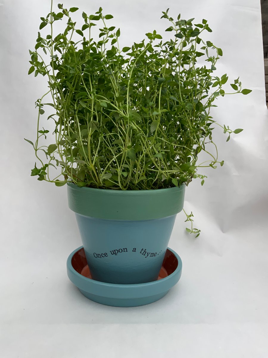 Hand painted kitchen herb plant pot in duck egg blue with saucer