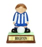 Brighton Hove Albion FC Birthday Retirement Gift. Personalised Present Football  - Image 5