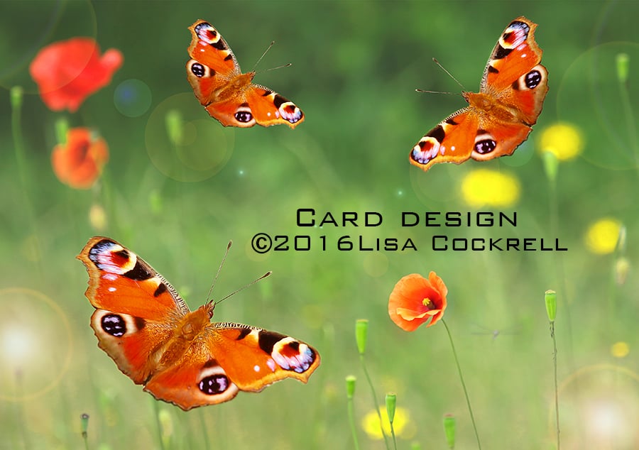 Exclusive Handmade Butterfly Summer Greetings Card