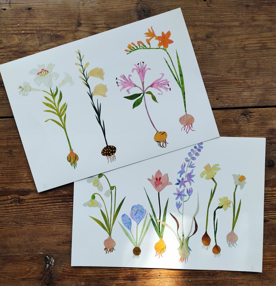 Beautiful bulbs giclee prints, set of two