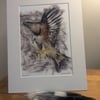 Red Kite, an A4 or A3 print of an original painting