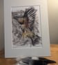 Red Kite, an A4 or A3 print of an original painting