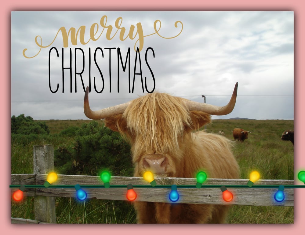 Merry Christmas greeting Card A5 Highland Cow 