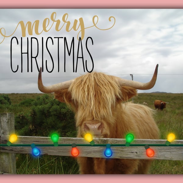 Merry Christmas greeting Card A5 Highland Cow 