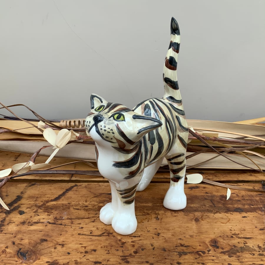 Brown Tabby Standing Cat