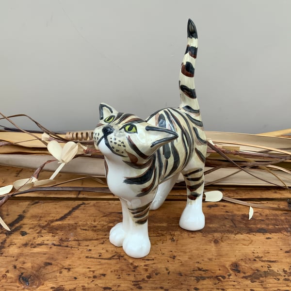 Brown Tabby Standing Cat