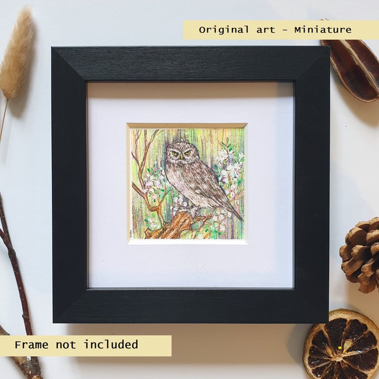 Miniature - Little Owl, tiny original bird art, bird gift, wall art
