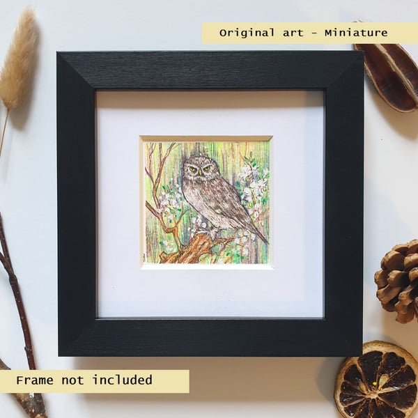 Miniature - Little Owl, tiny original bird art, bird gift, wall art