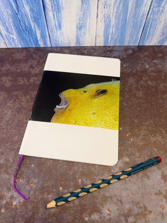 Notebook, Marine themed, A5 (ish), made from up-cycled and recycled materials.