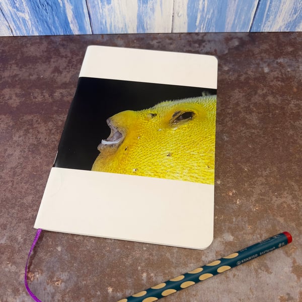 Notebook, Marine themed, A5 (ish), made from up-cycled and recycled materials.