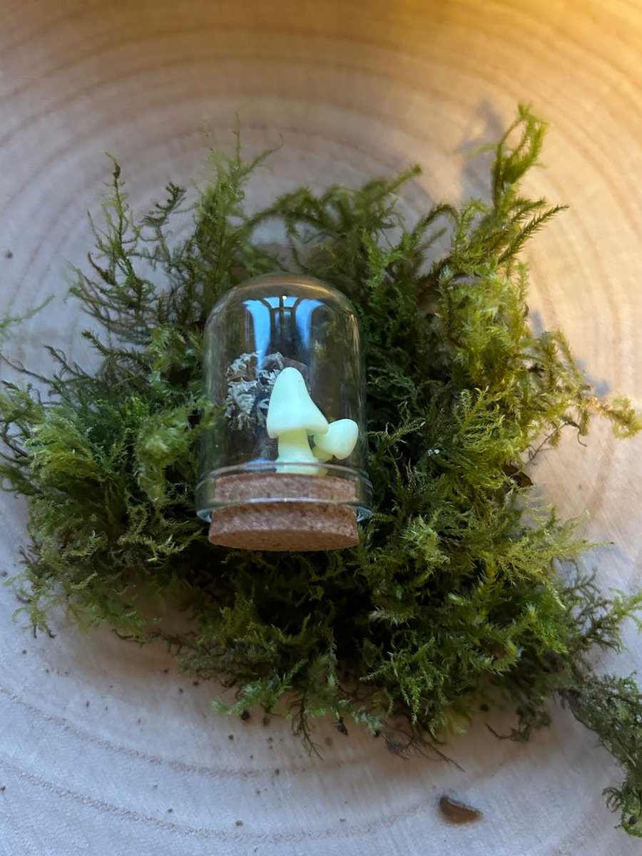 Lichen and Mushroom Curio Jar 