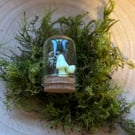 Lichen Curio Trinket