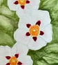 Cards, Greetings card, spring flowers, birthday, easter, original artwork.  - Image 6