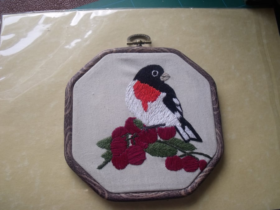 Rose-Breasted Grosbeak