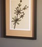 A4 digital print - Cleavers - Image 2