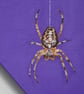 Gothic spider insect original art acrylic painting modern purple artwork  - Image 3
