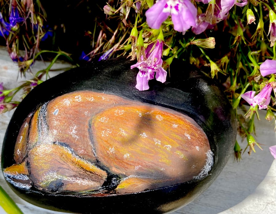 Hand Painted Rock Sleeping Baby Deer Fawn Original British Wildlife Art 