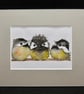 Three baby birds  - Image 3