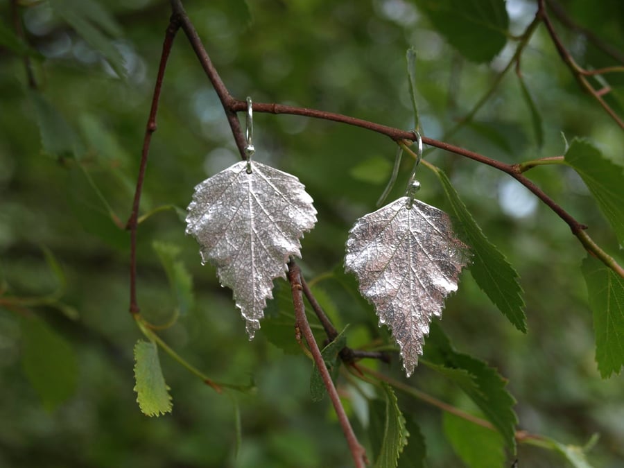 Birch Leaf Earrings Large