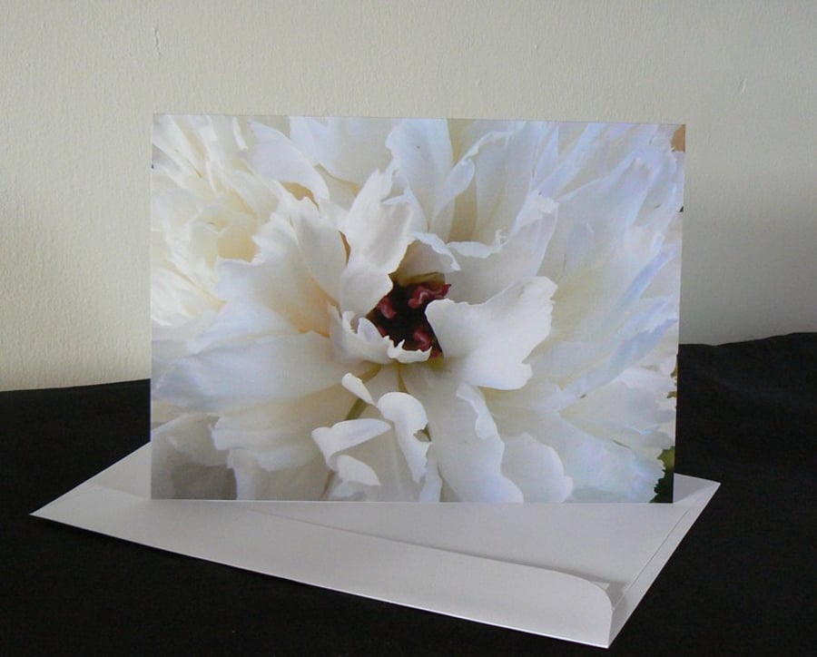 A5 Card - Peony