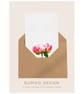 Pink Peony Greeting Card A6 Floral Art Card Blank Eco (QM 334)