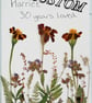 Custom Real Pressed Marigold, Birthday Card 