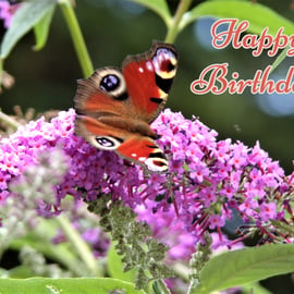 Happy Birthday Butterfly Card A5