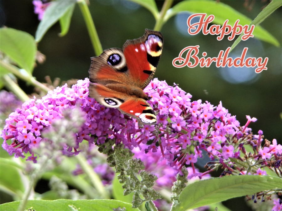Happy Birthday Butterfly Card A5