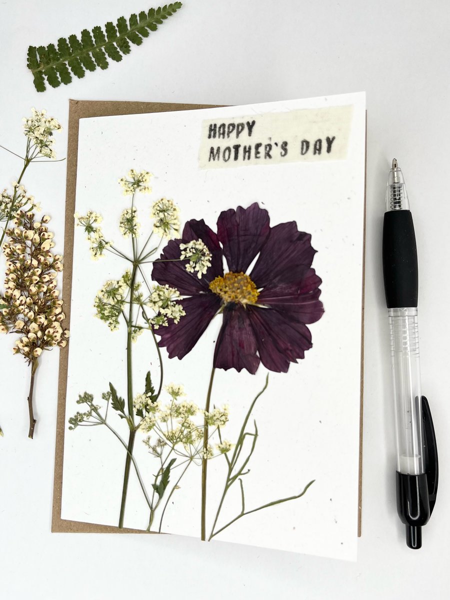 Handmade Real Pressed Cosmos, cow parsley, Mother's day Greeting Card