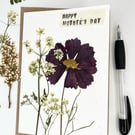 Handmade Real Pressed Cosmos, cow parsley, Mother's day Greeting Card