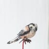 Tiny needle felt bird long-tailed tit in a glass jar