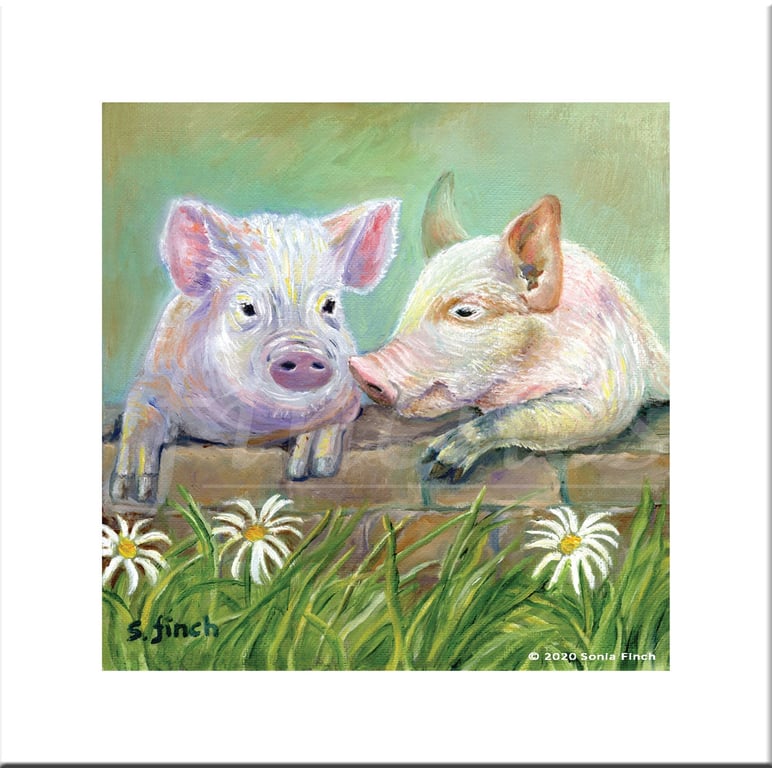 Spirit of Pig - Blank Greeting Card with nature spirit totem message