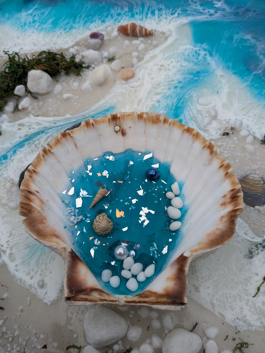 Hanging Shell With Resin Rockpool